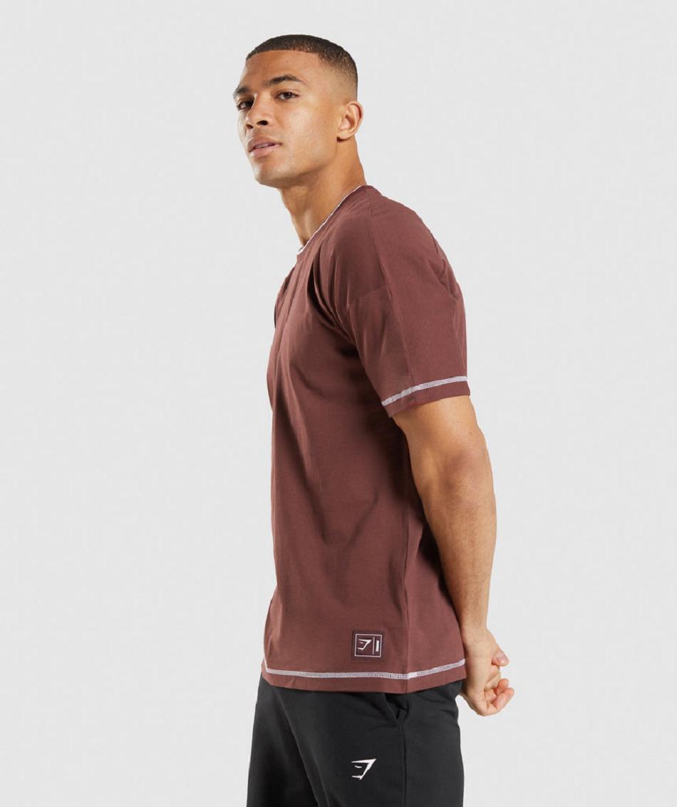 T Shirts Męskie Gymshark Recess Różowe Brązowe Białe | PL 3847DFM